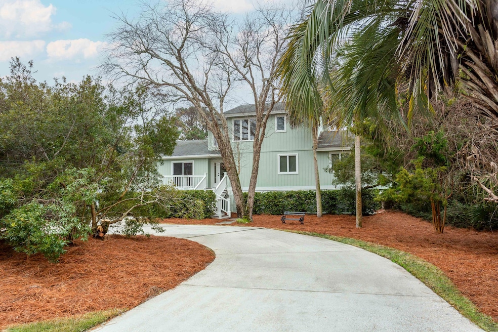 3619-Loggerhead-1New