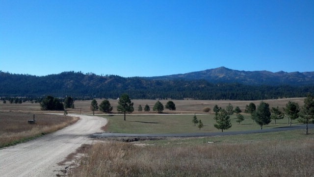 Main View