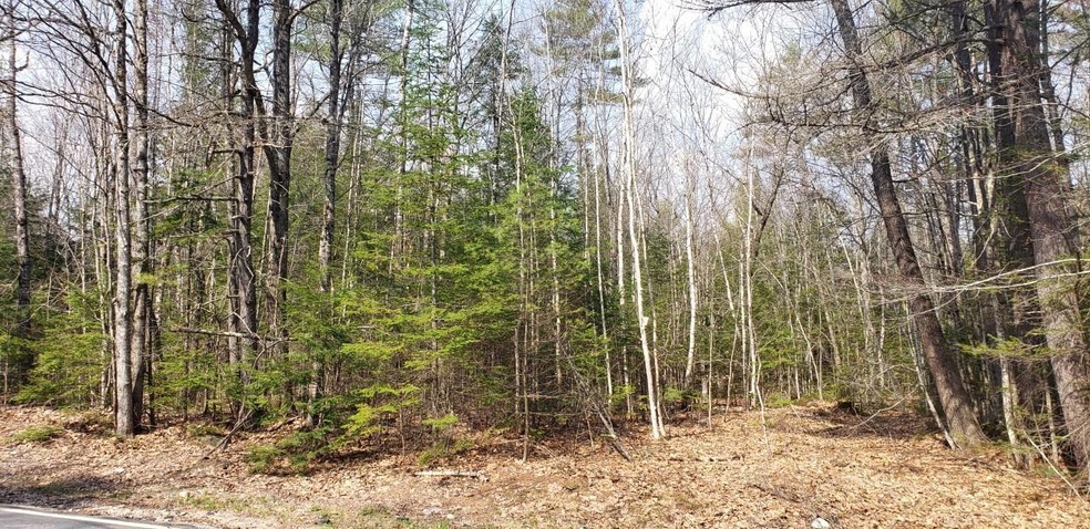 M21 L34A N Bridgton Rd, Bridgton, ME 04009 - photo 1