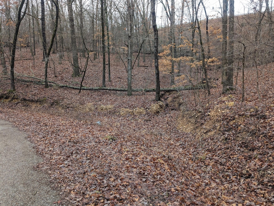 000 Gregg Rd, Reeds Spring, MO 65737 - photo 1