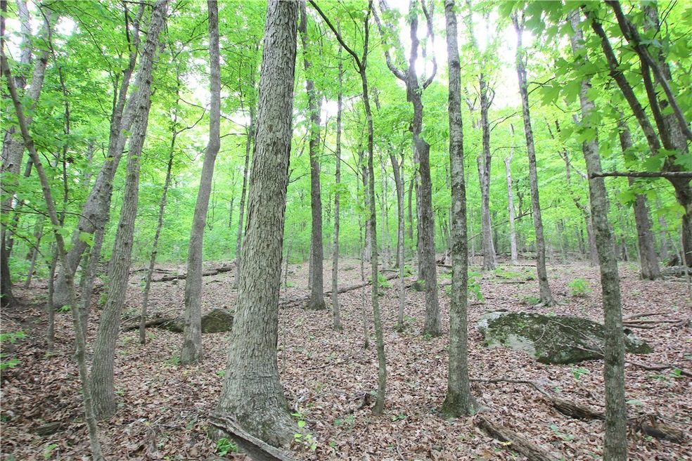 0 Madison 4230 unit 1218897, Crosses, AR 72727 - photo 1