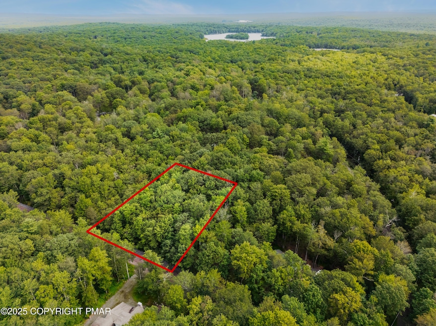 812 Beaver Run, Pocono Lake, PA 18347 - photo 1