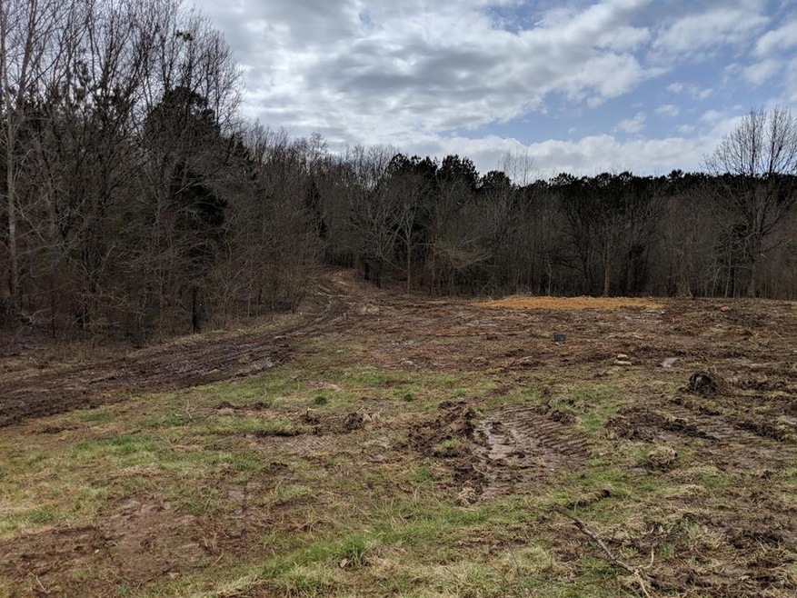 1580 Travis Boyd Rd, Mansfield, TN 38236 - photo 1