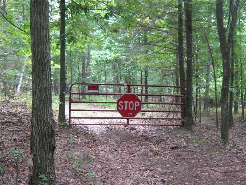 17039 Bethlehem Rd, Winslow, AR 72959 - photo 1