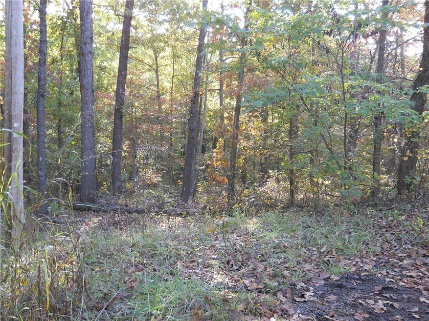 7-9 Wigan Ln, Bella Vista, AR 72714 - photo 1