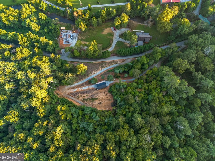 1063 Rickman Airfield Rd, Clayton, GA 30525 - photo 1