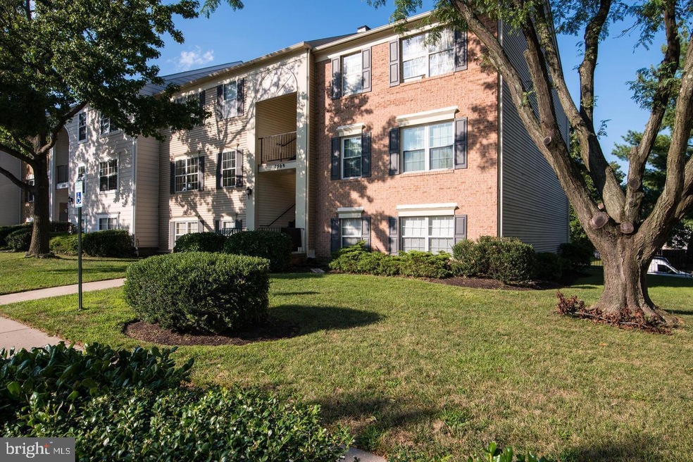2509 Mcveary Ct unit D, Silver Spring, MD 20906 - photo 1