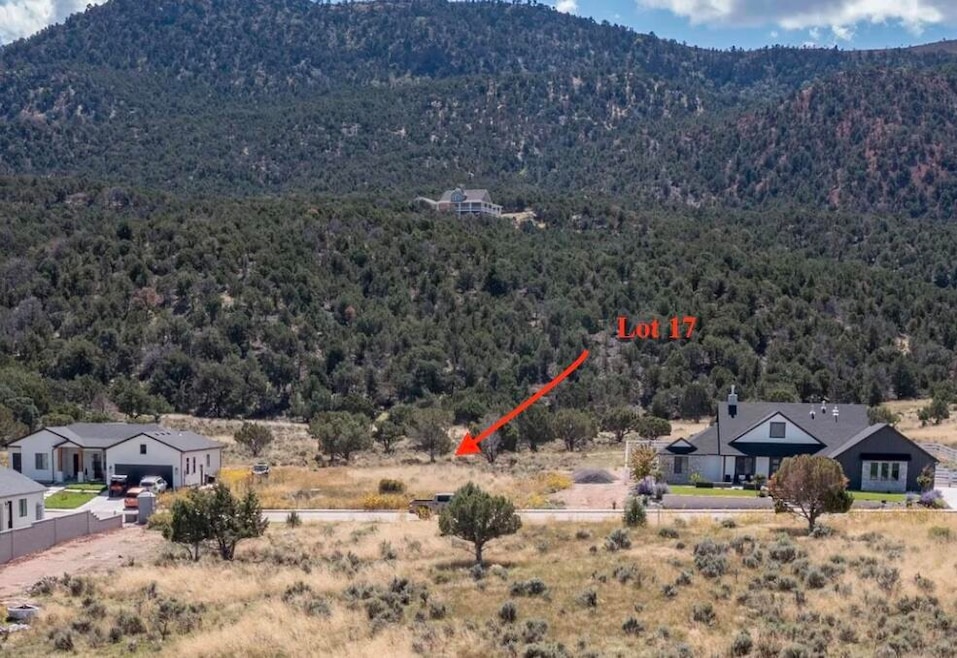 Lot 17 b