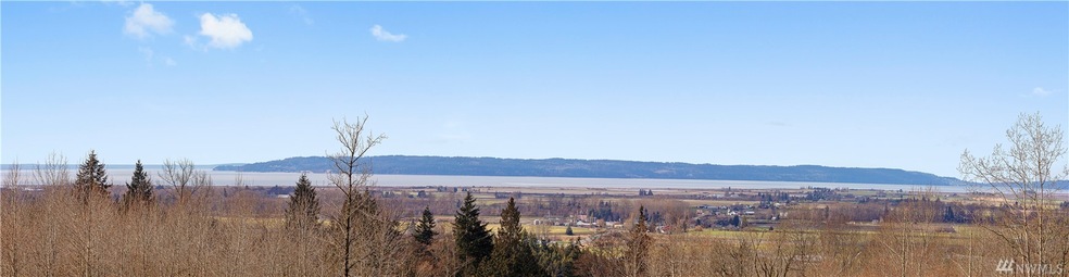 20670 Horizon View Ln, Mount Vernon, WA 98274 - photo 1