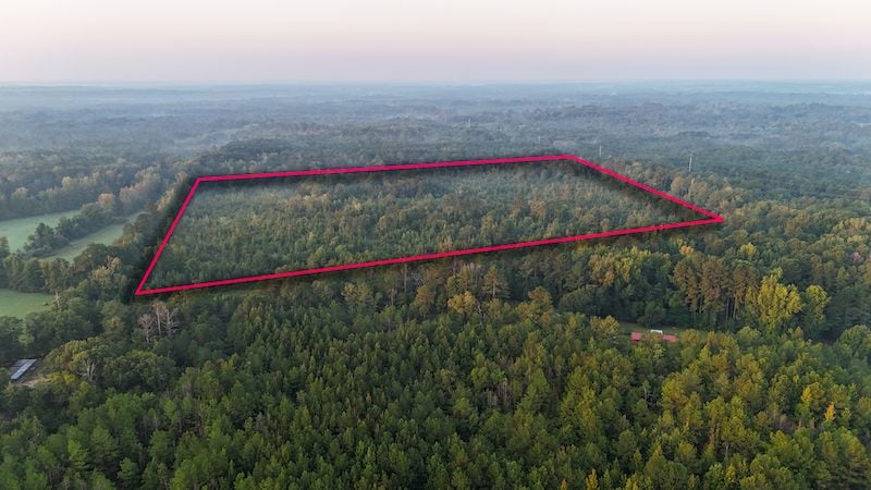 254 Putnam Rd unit LotWP001, Pickens, MS 39146 - photo 1