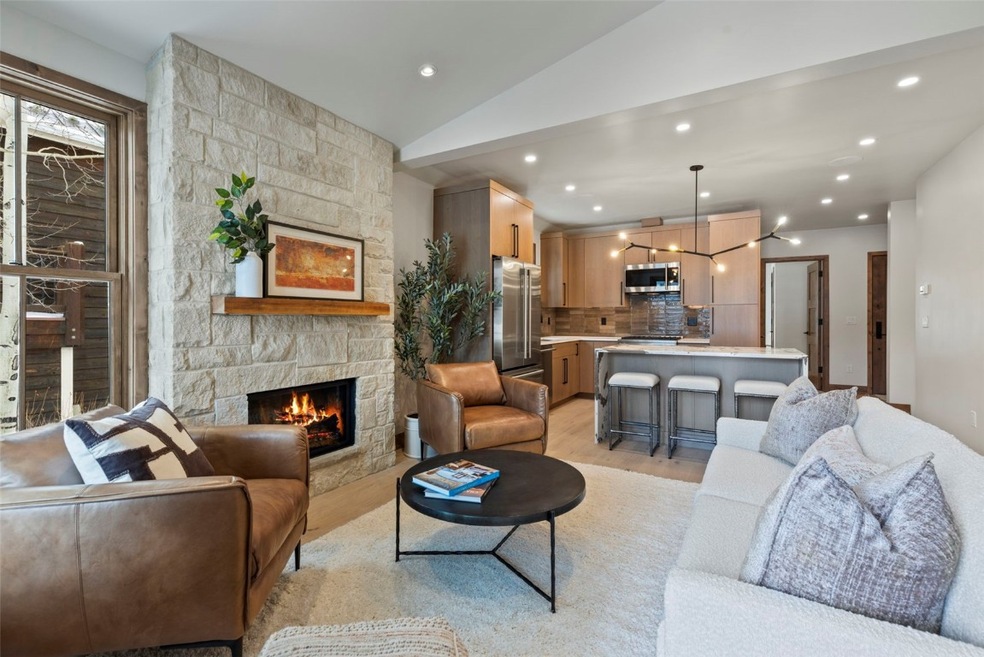 203 N Ridge St unit B, Breckenridge, CO 80424 - photo 1