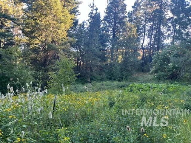 TBD Bobcat Ln, Lewiston, ID 83501 - photo 1