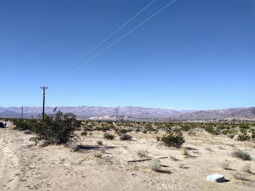 4032 Pearl Springs Ave, Twentynine Palms, CA 92277 - photo 1