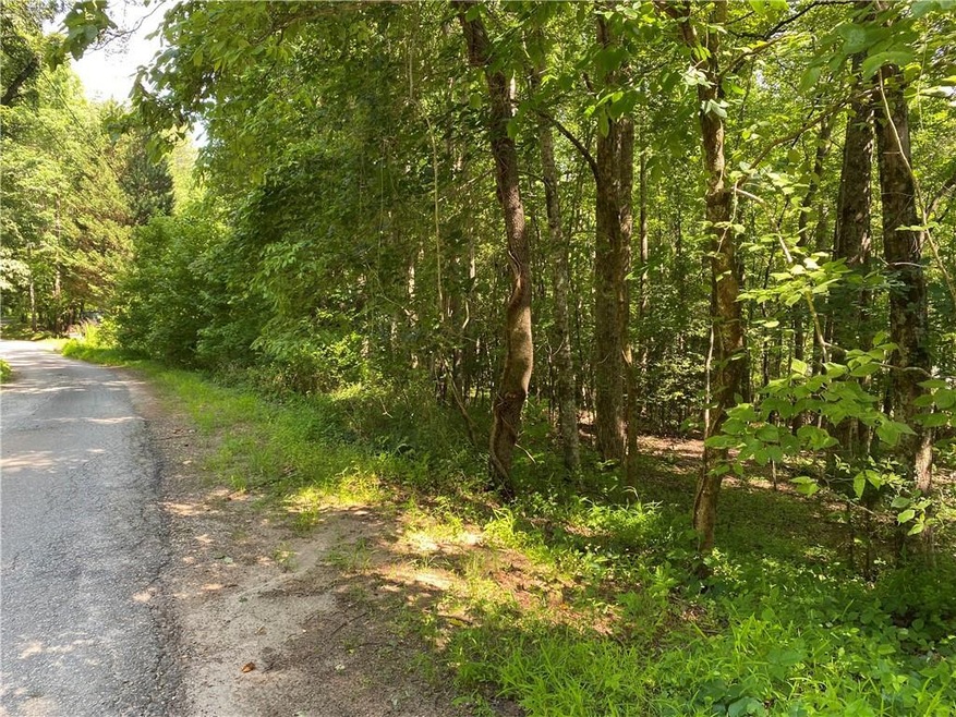 0 Skunk Hollow Rd unit 7232956, Cleveland, GA 30528 - photo 1