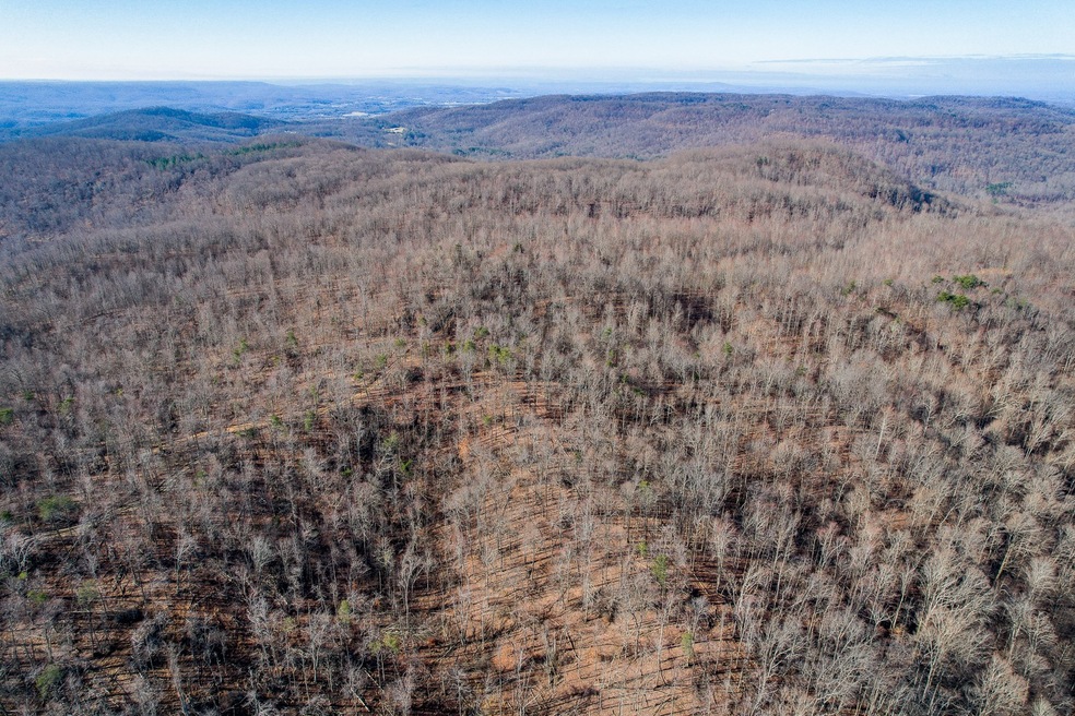 0 Board Valley Rd unit RTC2366292, Cookeville, TN 38501 - photo 1