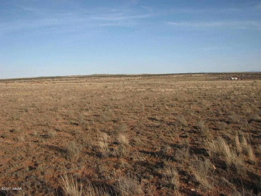 Lot 235