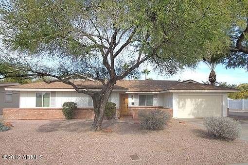 3750 Cholla_272frtC
