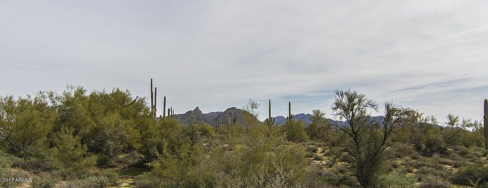 Views of Pinnacle Peak
