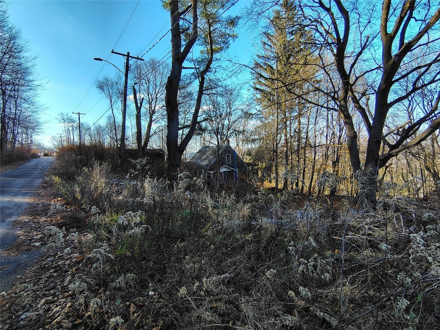 45 Harding Ave, Binghamton, NY 13903 - photo 1