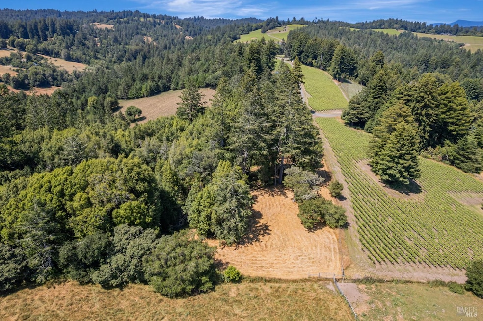 0 Bodega Hwy, Sebastopol, CA 95472 - photo 1