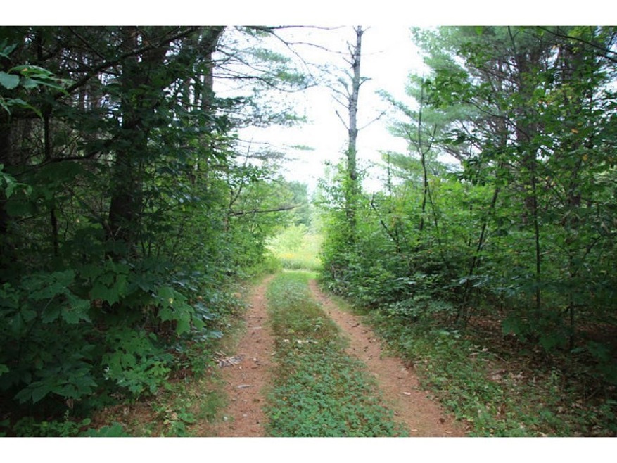 3 Loon Lake Rd, Plymouth, NH 03264 - photo 1