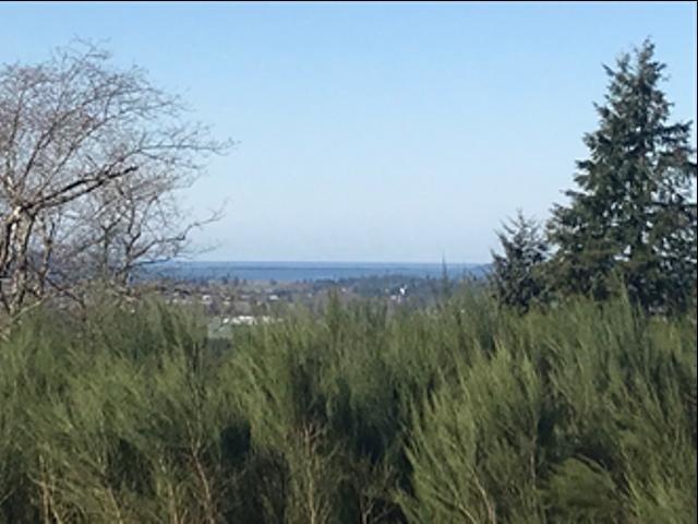 BayView