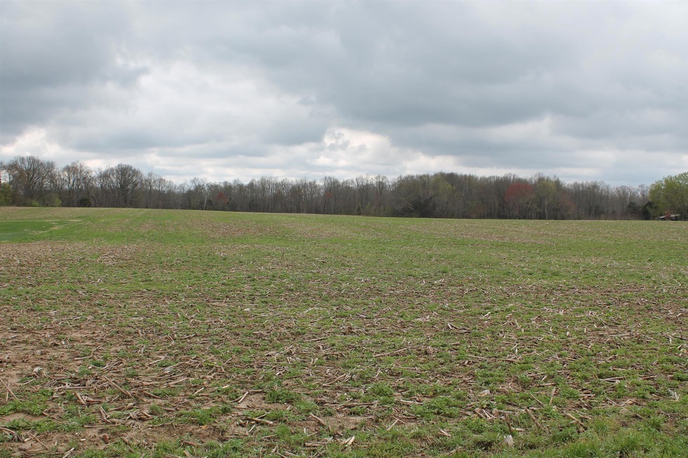 Beautiful 33.7 Acres in Sumner County