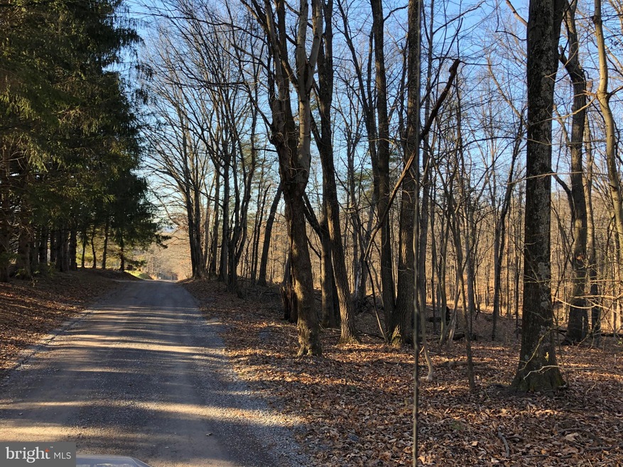 0 Swaim Ln unit WVMO108558, Berkeley Springs, WV 25411 - photo 1