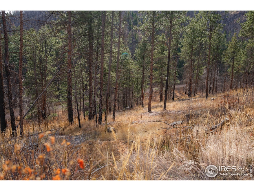 0 Cougar Dr unit 1048067, Bellvue, CO 80512 - photo 1