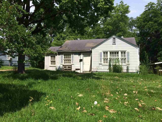 Main View