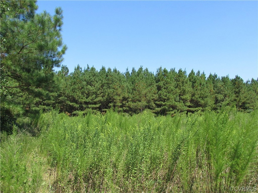 38 Beagle Chase, Prince George, VA 23842 - photo 1