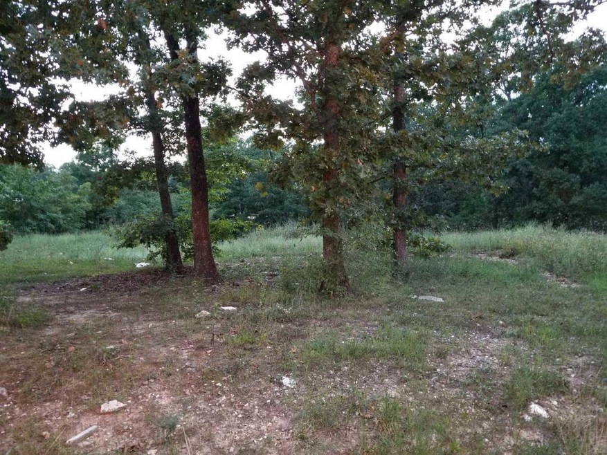 165 Ramona Ln, Kimberling City, MO 65686 - photo 1