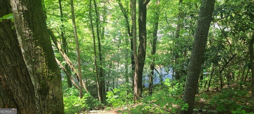 0 Ber Weg unit 10605993, Helen, GA 30545 - photo 1