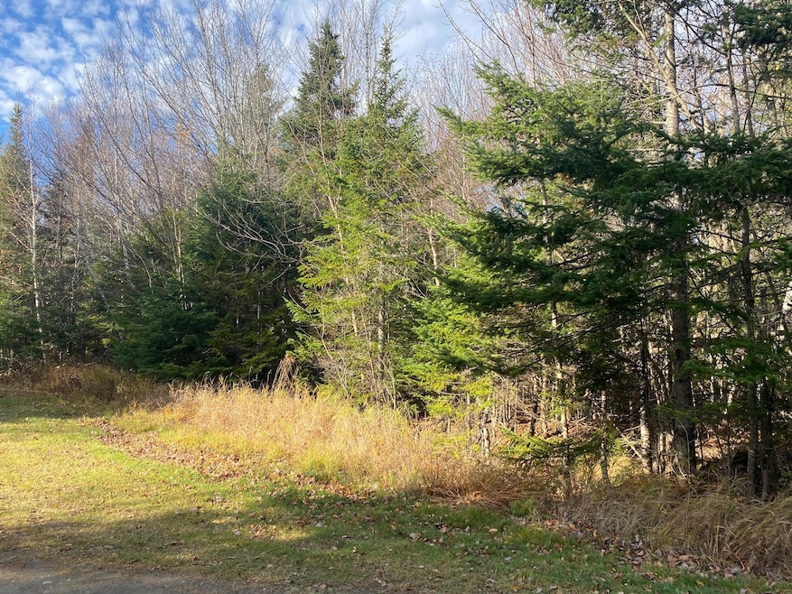 Lot 16 Bear Track Ln, Tomhegan Township, ME 04478 - photo 1