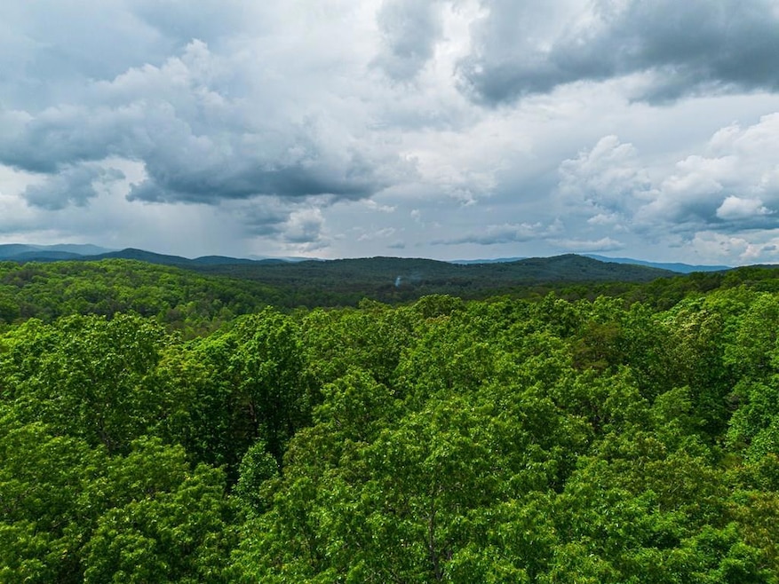 Tract 2 Century Ln, Blue Ridge, GA 30513 - photo 1