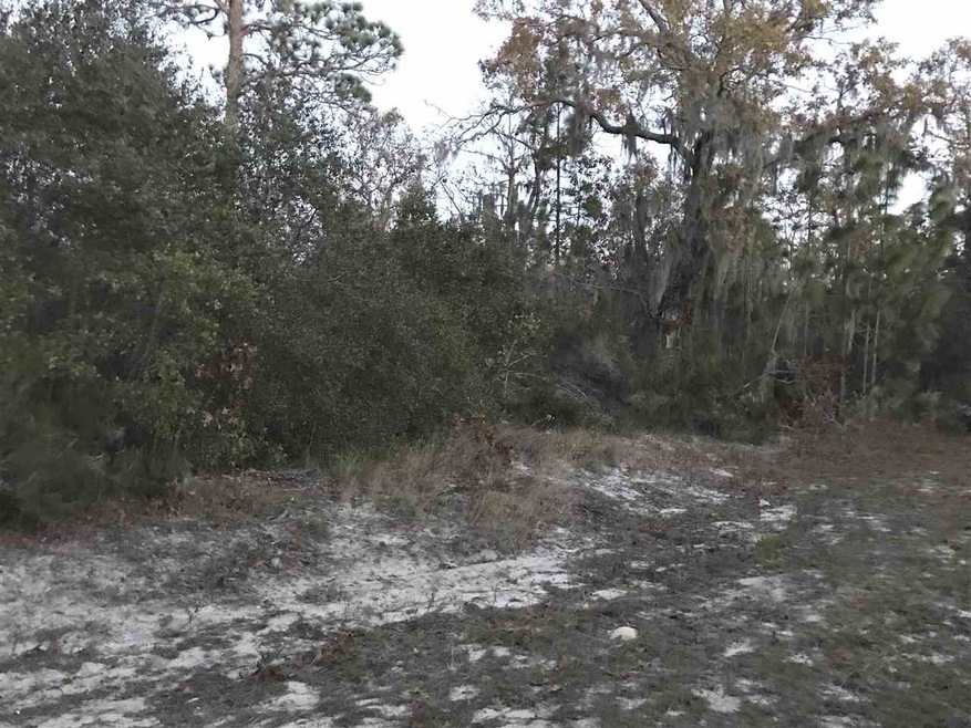 0 Parente Place unit 288284, Perry, FL 32348 - photo 1