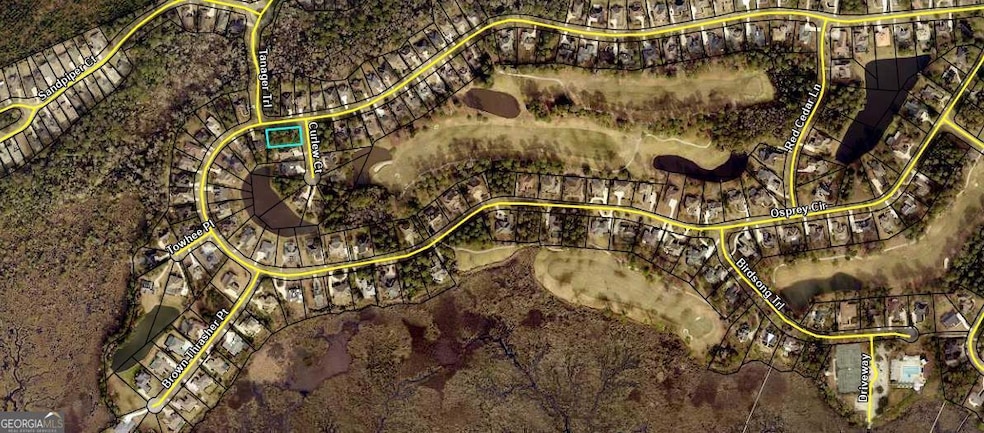 V/L 433 Osprey Cir, St. Marys, GA 31558 - photo 1