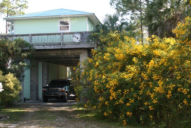 Main View