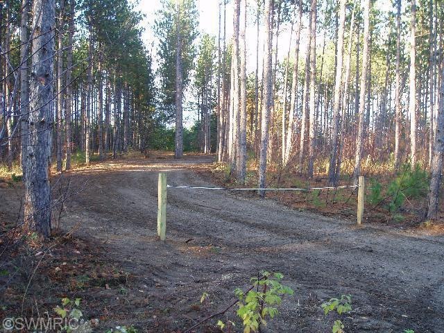 Primary Photo