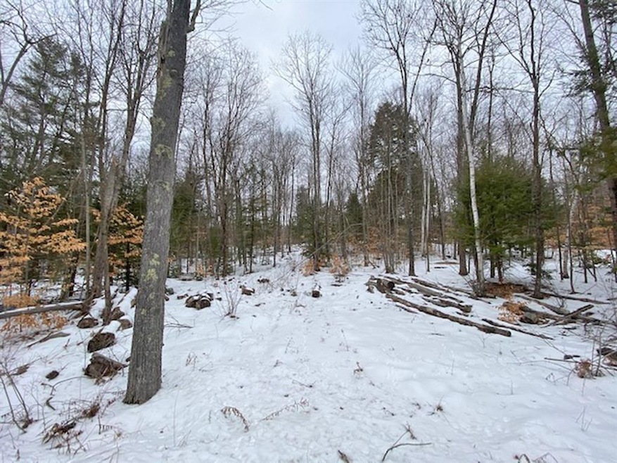 0 Mountain Rd unit 4844004, Center Tuftonboro, NH 03816 - photo 1