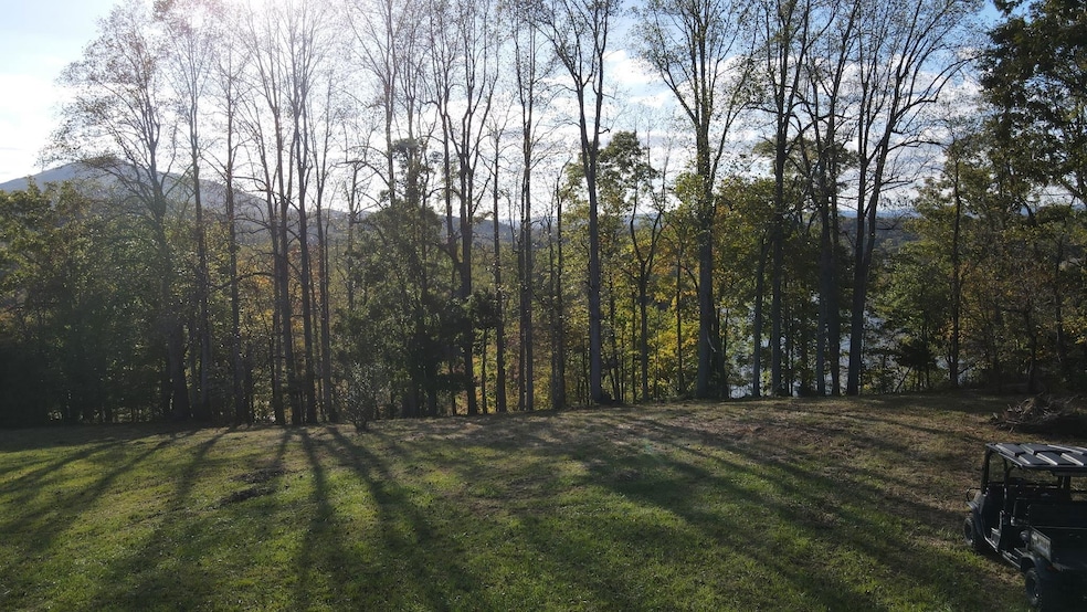 Rev. Parcel A1 Jennings Rd, Pulaski, VA 24301 - photo 1