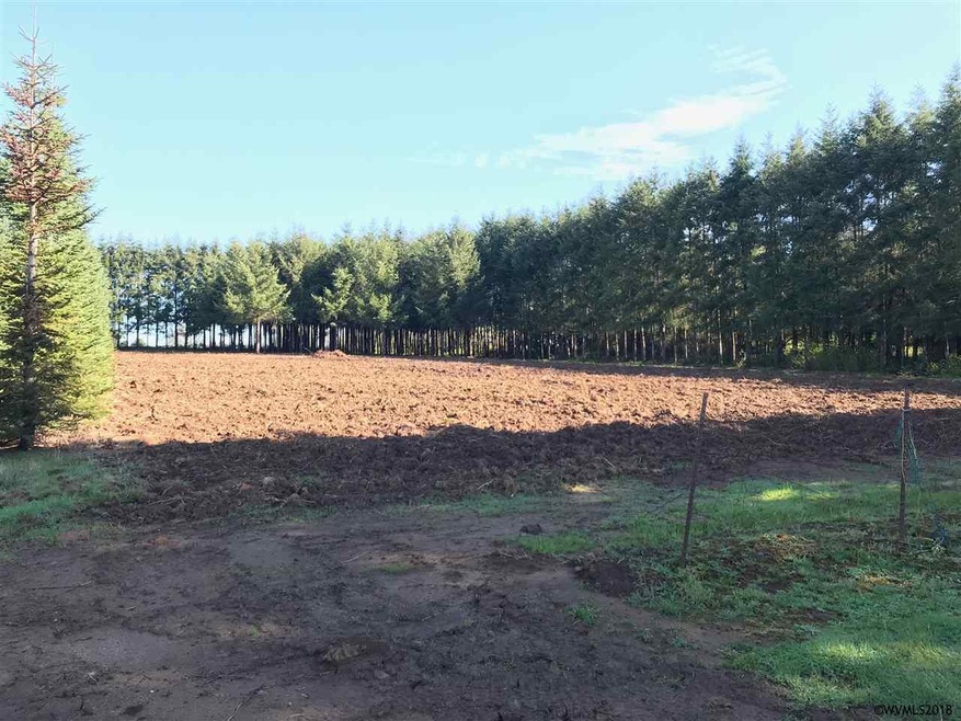 39943 Mertz Dr SE, Stayton, OR 97383 - photo 1