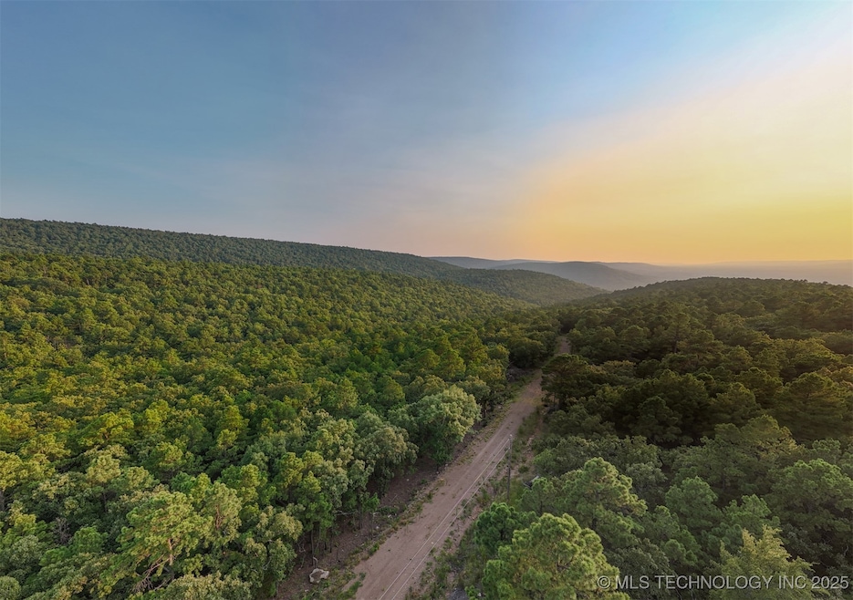 13 Moonshine Dr, Clayton, OK 74536 - photo 1