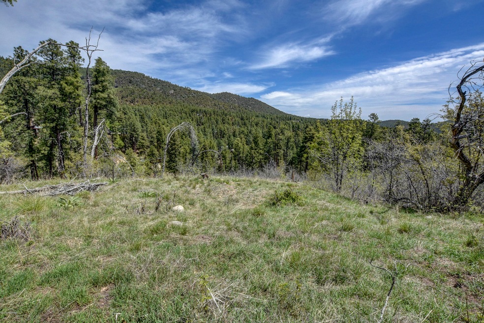Possible Home Site
