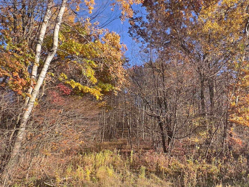 40 acre Tryba Rd, Reid, WI 54440 - photo 1