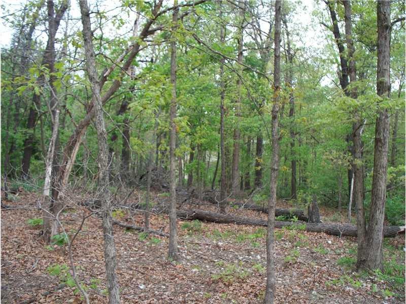 -- Aylesford Ln, Bella Vista, AR 72715 - photo 1