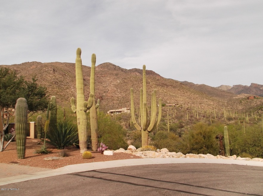view from driveway