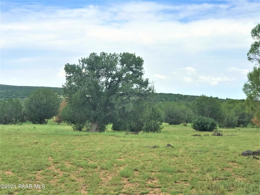 111 Gleed Station Rd, Ash Fork, AZ 86320 - photo 1