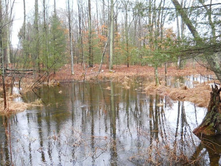 1414 Beaver Rd, Lilley Township, MI 49309 - photo 1