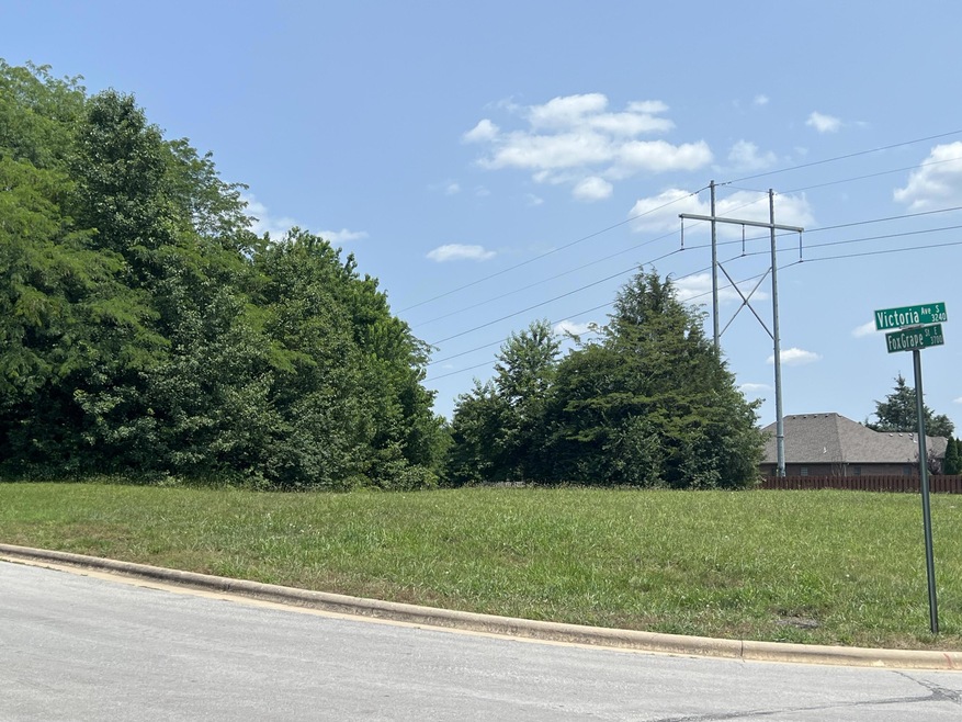 Lot 44